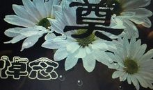 那年清明泪纷纷