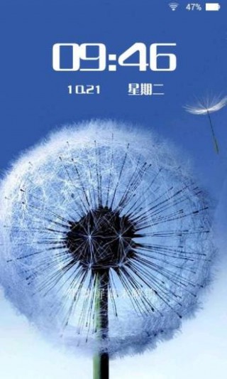 我发现了蒲公英的秘密