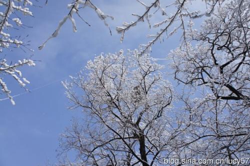 雪飘香十英里