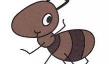 爱拖拉的小蚂蚁