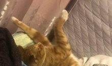 睡觉其实很简单