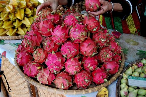 我最喜欢的水果