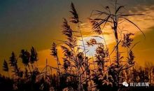 凄凉大街中的暖意