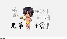 我的新兄弟——小白