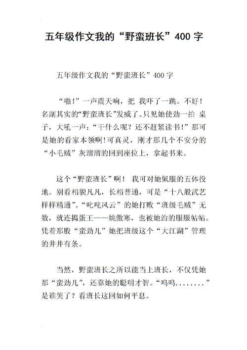 我们的“野蛮”监视器