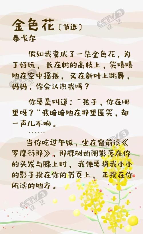 给菊萍姐姐的信