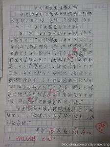 800字龙文化构成