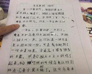 兔子的新家继续