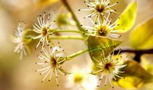 岁月流年里的父爱