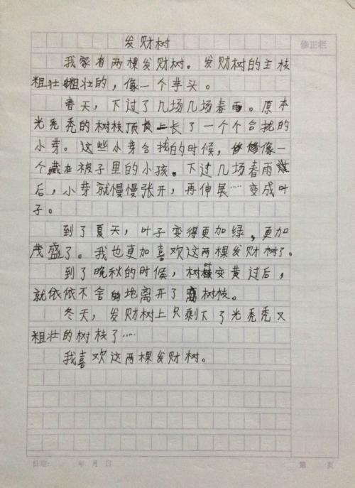 关于树木的组成