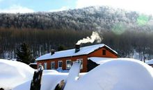 我不禁想起了那一缕炊烟