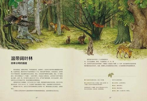 植物王国之旅
