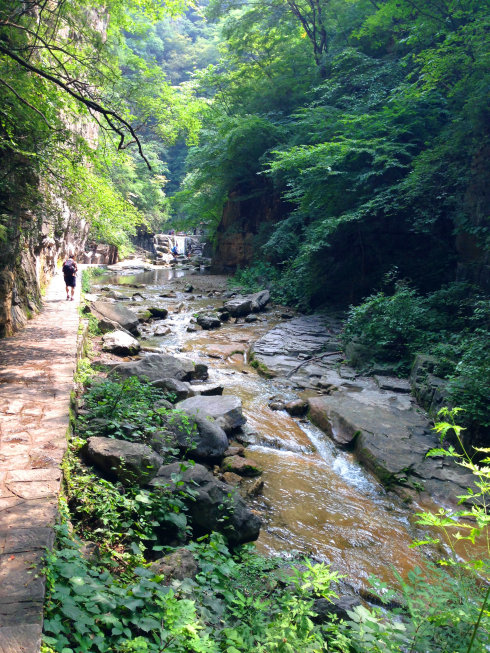 前往云台山