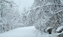 当北风来临的时候