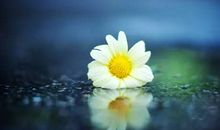 给生活留些空隙