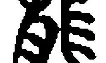 我们身边的龙文化500字