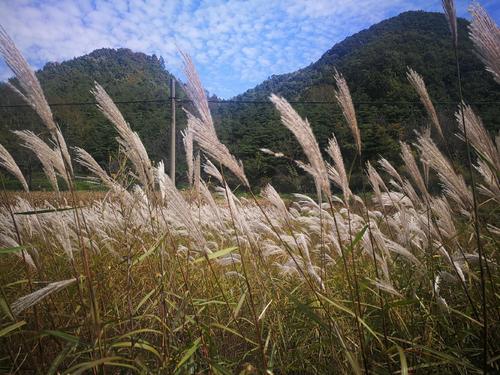 路上独特的风景