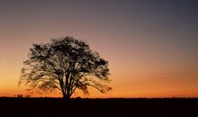 我是你的一束阳光