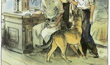 我读名著的趣事