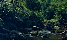 保护家乡的小溪