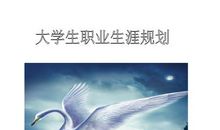 渴望得到一对翅膀