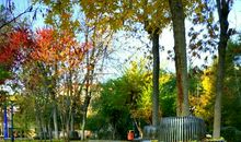 秋天的校园真美