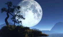 美好的中秋之夜