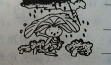 看图写话小兔子采蘑菇迷路了