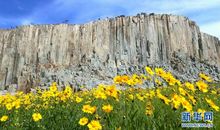 迷人的马山石林