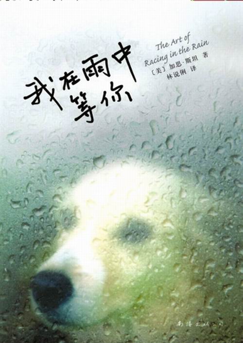 雨中的东西