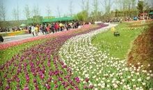 参观沣东农博园