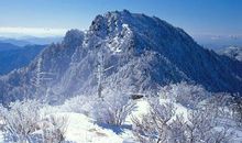 我们村四季的山