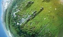 《地球脉动2》观后感