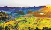 秋天的田园风光