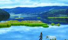 秀美的普达措公园