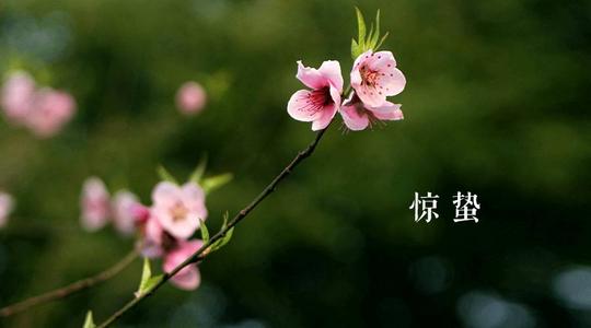 很高兴再次看到春风