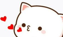 谢谢你我的好伙伴