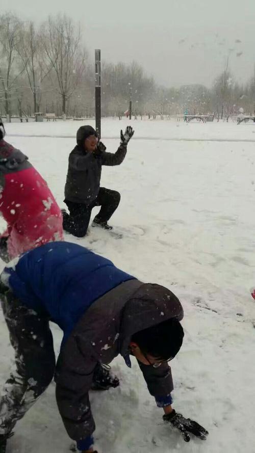 关于堆雪人的有趣事实
