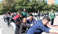激烈的“拔河比赛”