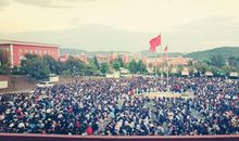 世间处处有学问