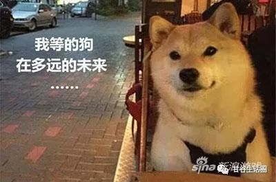 痛苦的寒假