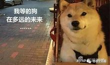 痛苦的寒假生活