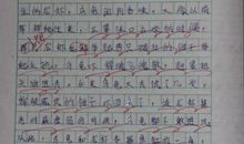 关于巴西龟的作文