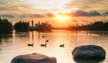 幸福是平凡的生活点滴