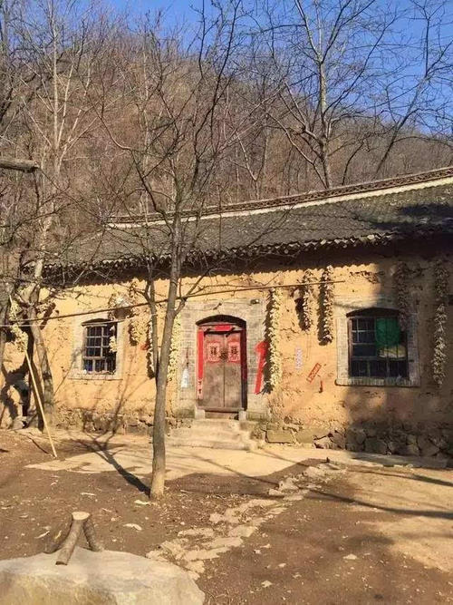 我真的很想回到家乡