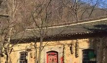 我真想再回到故乡