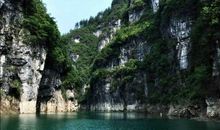 我们身边的龙文化征文