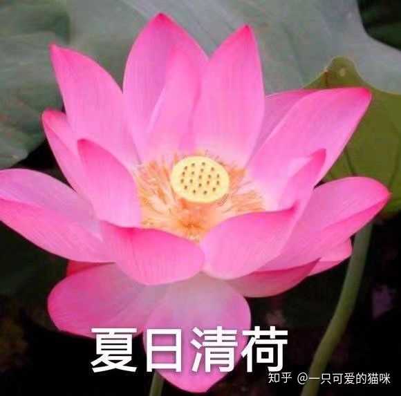 我不再浮躁