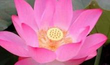 从此我不再浮躁