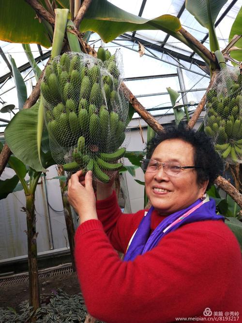 难忘的生态公园实践活动